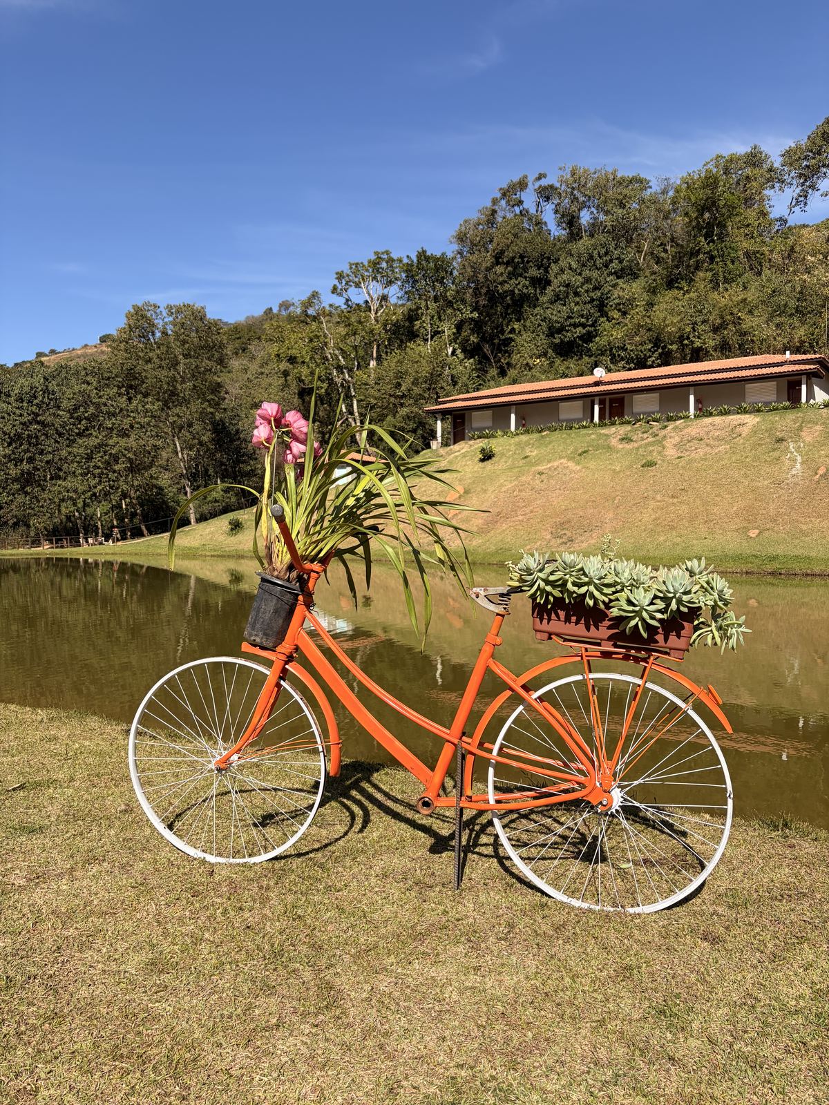 Cantinho charmoso com bicicleta decorada e flores