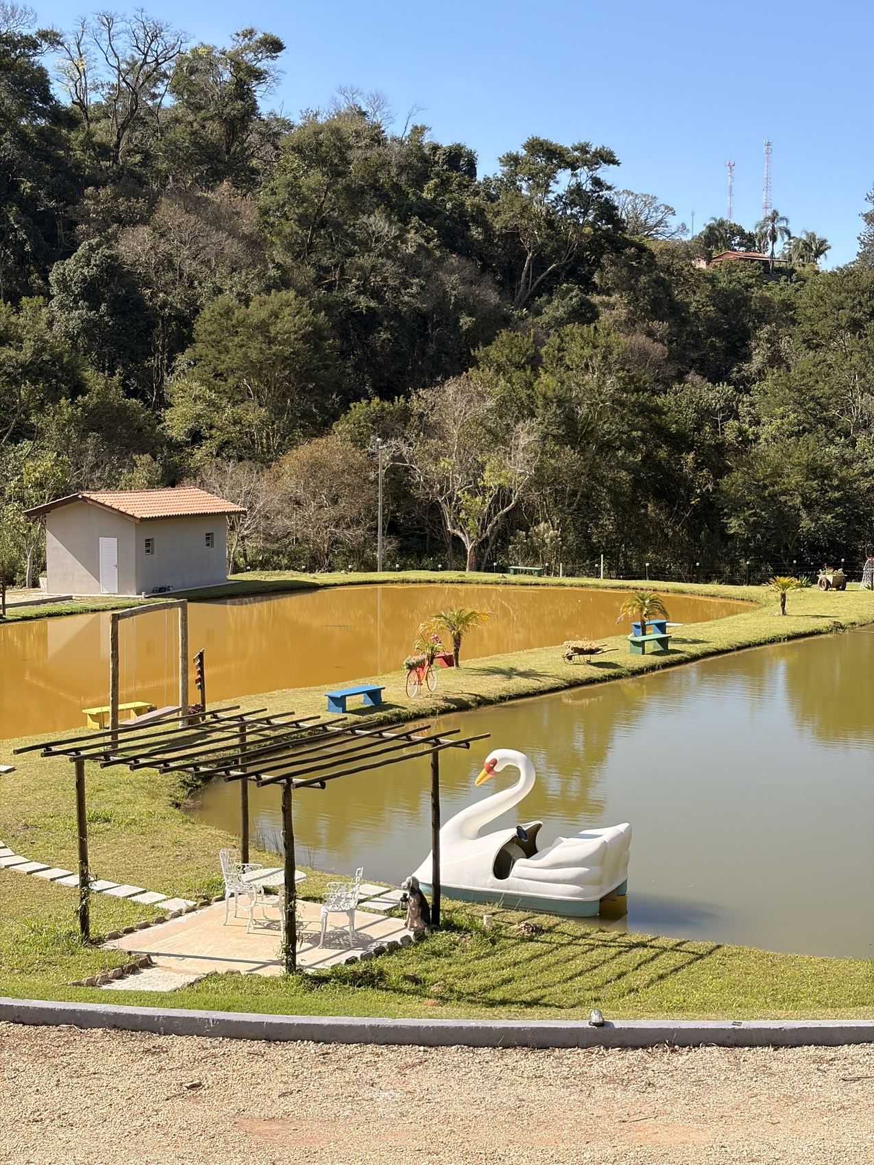 Lago para pesca esportiva cercado de verde