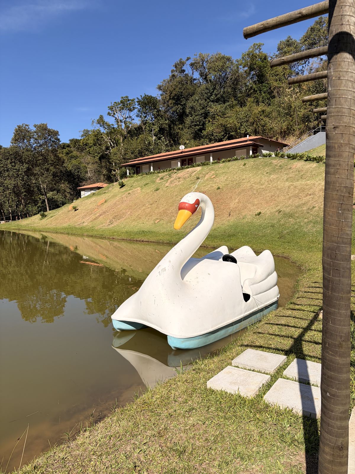 Pedalinho em formato de cisne no lago da pousada